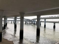 -演武大桥观景平台