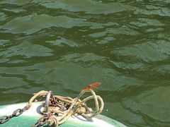 -千龙湖生态旅游度假区