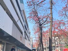 -烈士陵园(地铁站)