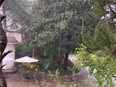 -申粤轩酒楼·三十年粤菜经典(丁香花园店)