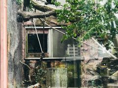 -石排湾郊野公园