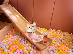 -水桶王国主题餐厅·聚会·生日派对·亲子活动·家庭套餐(亚龙湾希尔顿店)