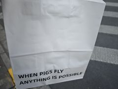 -WHEN PIGS FLY当猪飞