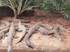 -海南热带野生动植物园