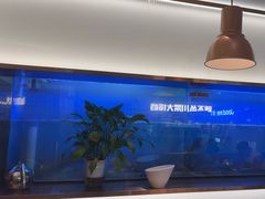 -老板恋上鱼(印象城店)