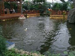 -汤山翠谷生态餐厅