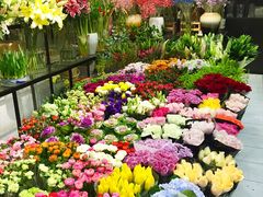 -双季花艺园艺市场(浦东店)