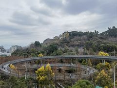 -福道