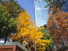 -静安公园(静安寺街道)