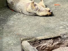 -云南野生动物园