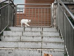 -贮水山儿童公园
