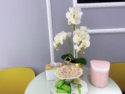 -MIVI野生眉纹绣纹眉