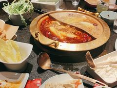 -熊喵来了火锅(太原里第2分店)