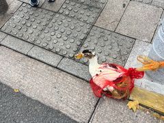 -南通濠河风景名胜区