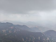 -鲁山国家森林公园