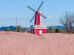 -羊亭河湿地公园