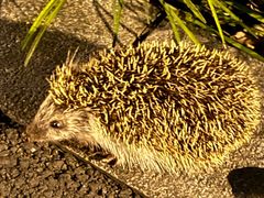 -白塘生态植物园