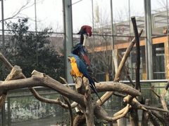 -无锡动物园·太湖欢乐园