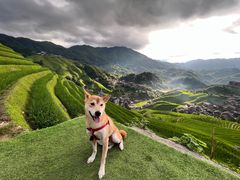 -龙脊梯田