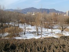 -滨河世纪广场公园