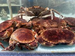 -万龙洲海鲜(大兴绿地缤纷城店)