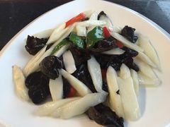 云中小雅-云中小雅