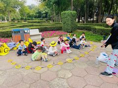 -杨梅红艺术教育(北京金源购物中心校区)
