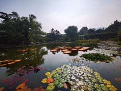 -国家植物园南园