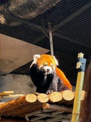 -Zoolung Zoolung动物主题公园(海信广场店)