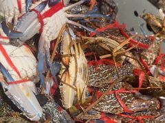 -一方渔歌蒸汽海鲜自助(文化路万达广场店)