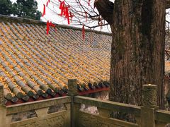 景点-金堂县云顶石城风景区