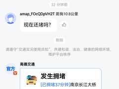 -山野的朋友露营炭火烤肉