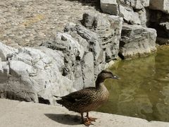 -香山公园-东宫门售票处
