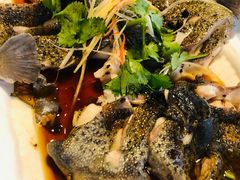 虹鳟-京北渔家傲