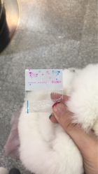 -Wisezone唯点穿耳打耳洞专业国际连锁品牌