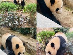-石排湾郊野公园