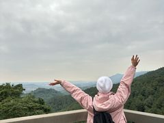 -铁山坪森林公园