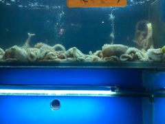-蔚海之都·象山蒸汽海鲜(仙霞路店)