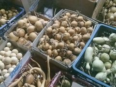 -中环花鸟鱼虫市场