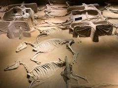 -洛阳周王城天子驾六博物馆