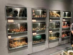 -唐山宴大唐州府精品中餐