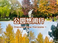 -昆山城市生态森林公园