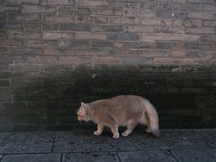-兴教寺
