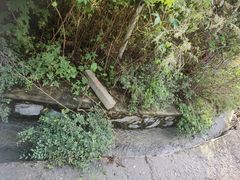-鬼笑石后山停车场