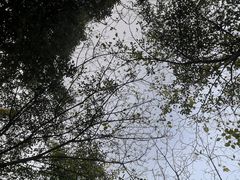 -灵隐飞来峰景区