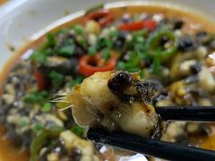 西江白鳝-八仔大富楼·河鲜(西江店)