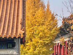 -大明幻境第一城