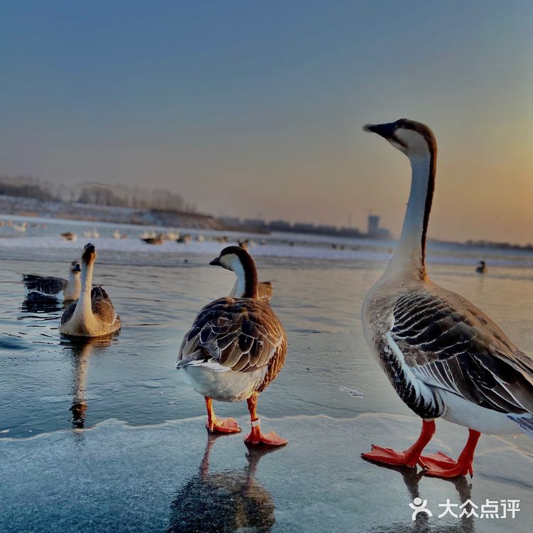 沈阳鸟岛｜🈚️门票🎫下面👇详细位置