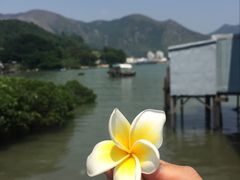 -大澳