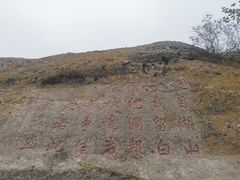 -磬锤峰森林公园